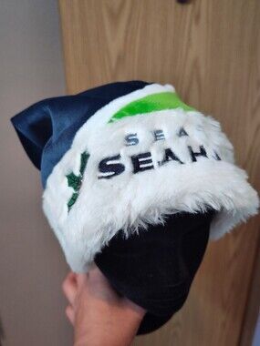 Seahawks Santa Hat
